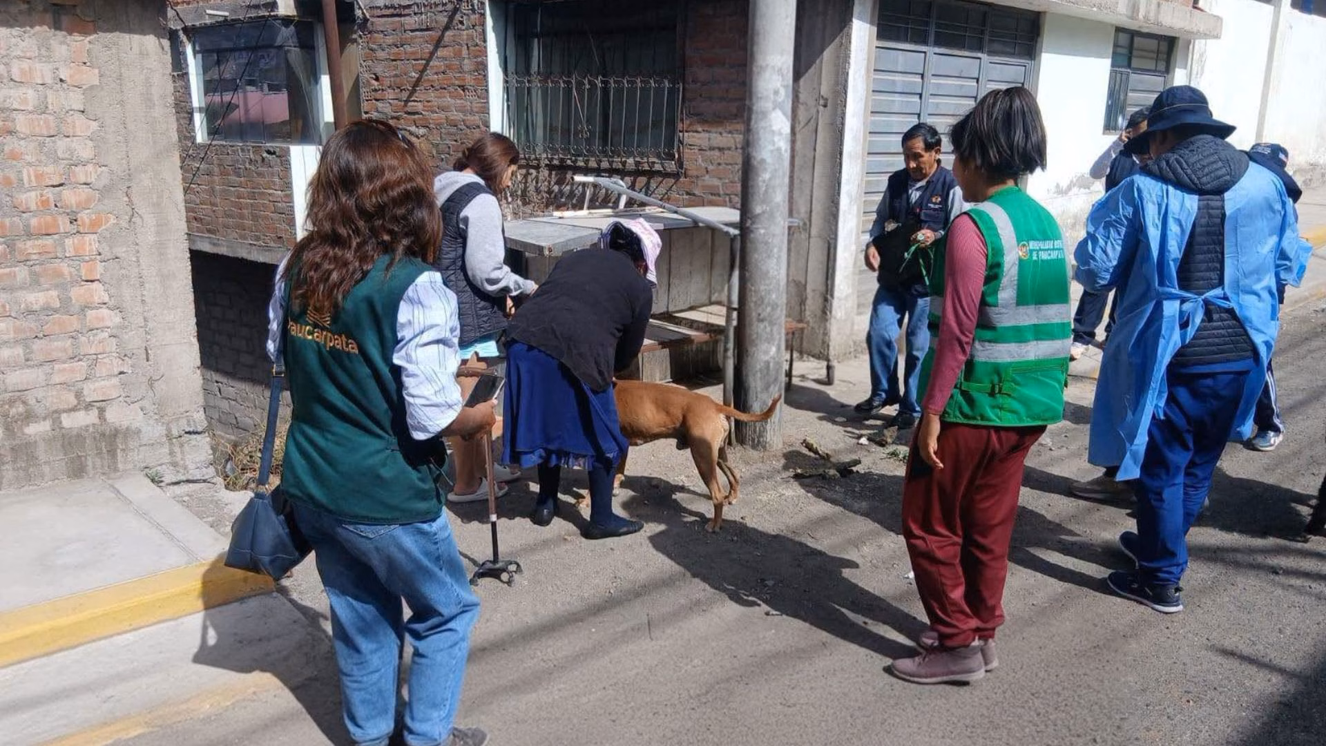 Arequipa: Paucarpata multará con hasta S/ 11 mil por tener a sus perros en la vía pública