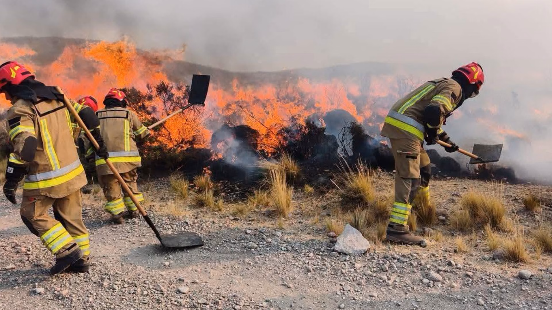 Arequipa perdió 12.000 hectáreas por incendios forestales y alertan sobre fallas en la prevención 2 Arequipa perdió 12.000 hectáreas por incendios forestales y alertan sobre fallas en la prevención