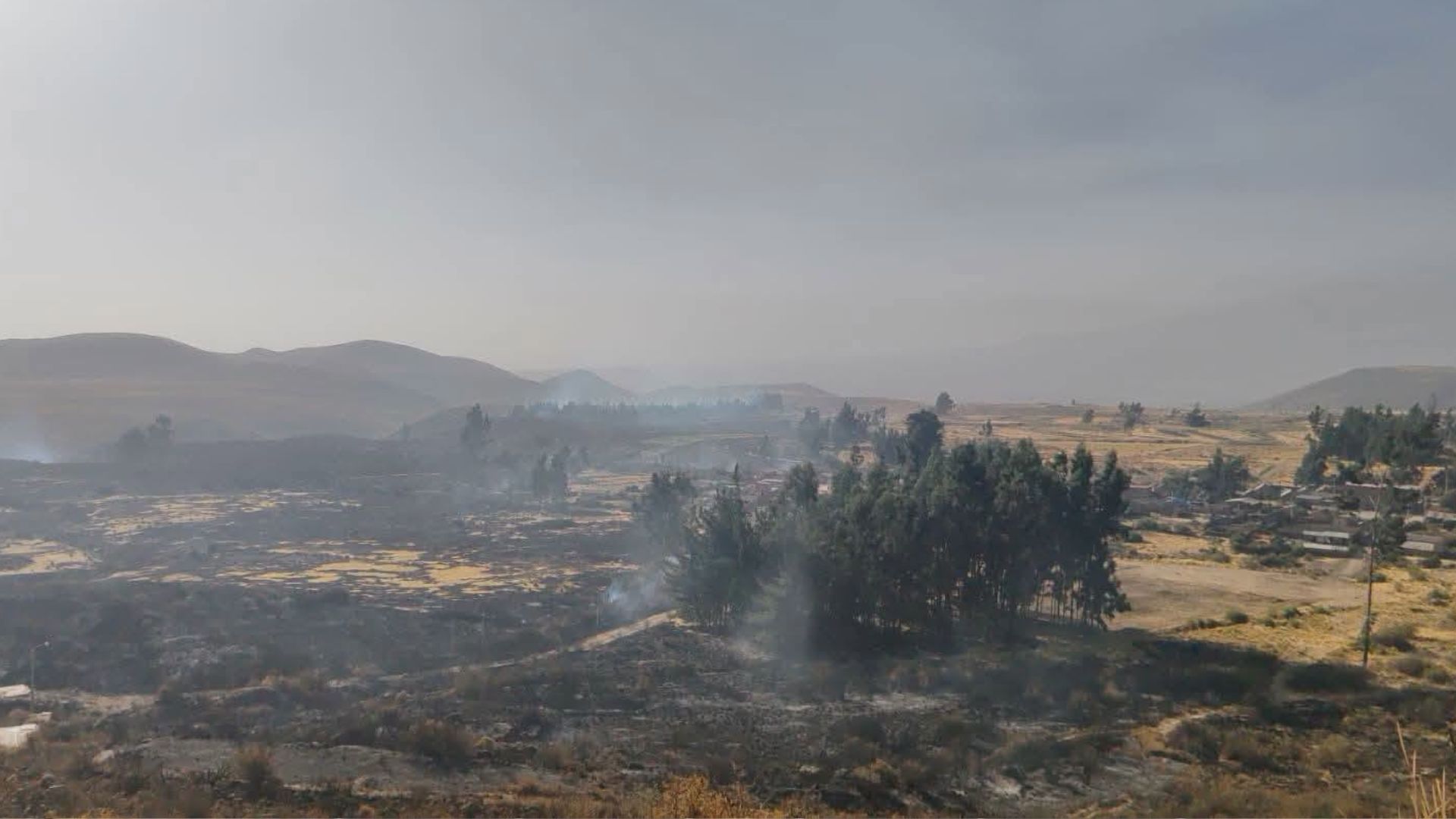 Arequipa perdió 12.000 hectáreas por incendios forestales y alertan sobre fallas en la prevención 1 Arequipa perdió 12.000 hectáreas por incendios forestales y alertan sobre fallas en la prevención