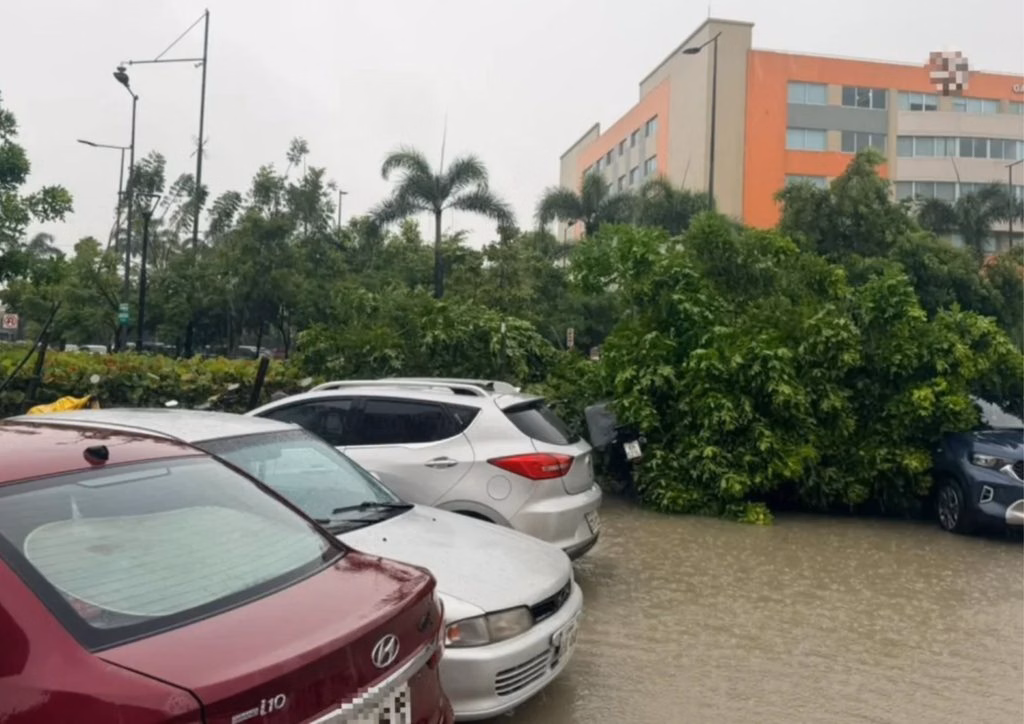 Inundaciones en Guayaquil en Ecuador: lluvias anegan 42 sectores y suspenden clases escolares 2026