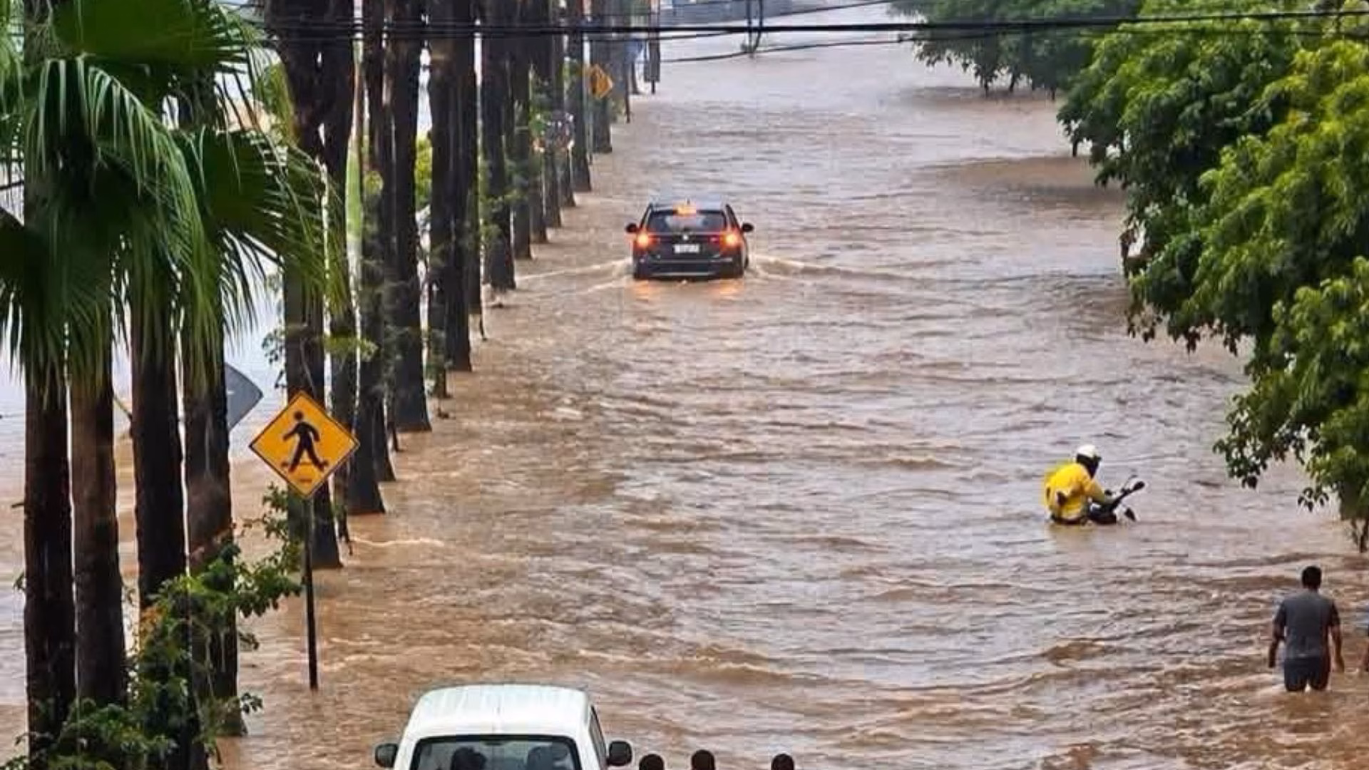 Inundaciones en Guayaquil en Ecuador: lluvias anegan 42 sectores y suspenden clases escolares