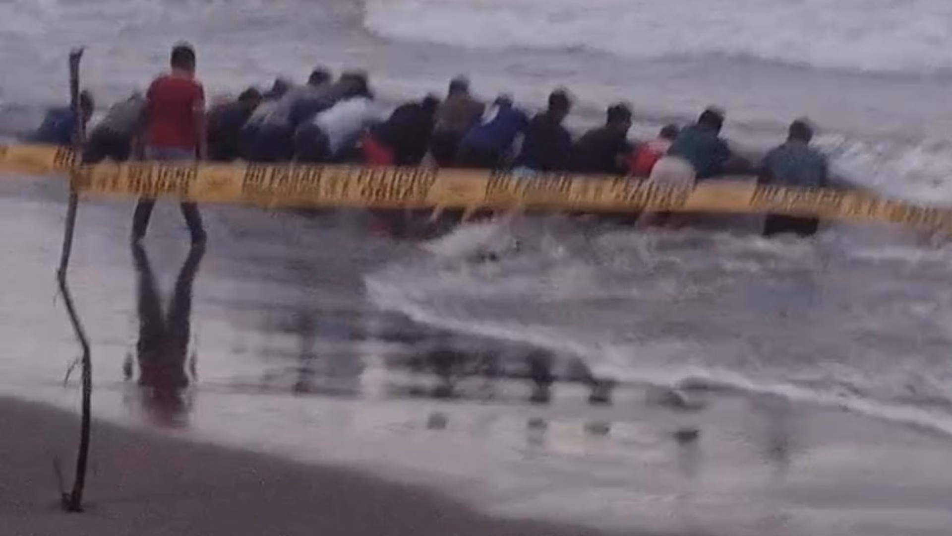 Arequipa: pobladores intentan salvar a ballena bebé varada, pero especialista descarta su recuperación